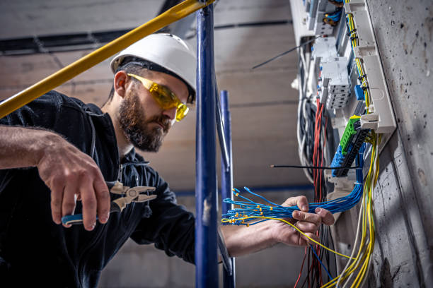 Best Home Electrical Repair  in Topaz Ranch Estates, NV