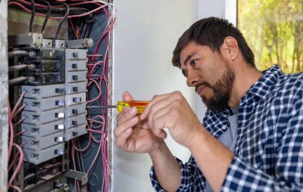Best Electrical System Inspection  in Topaz Ranch Estates, NV
